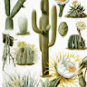 Meet your Posher, Violet